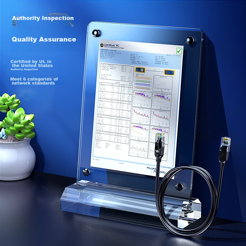 Biaze CAT6 Ethernet Cable, 10 Meters, Gigabit Network Connection Cable, Thickene...