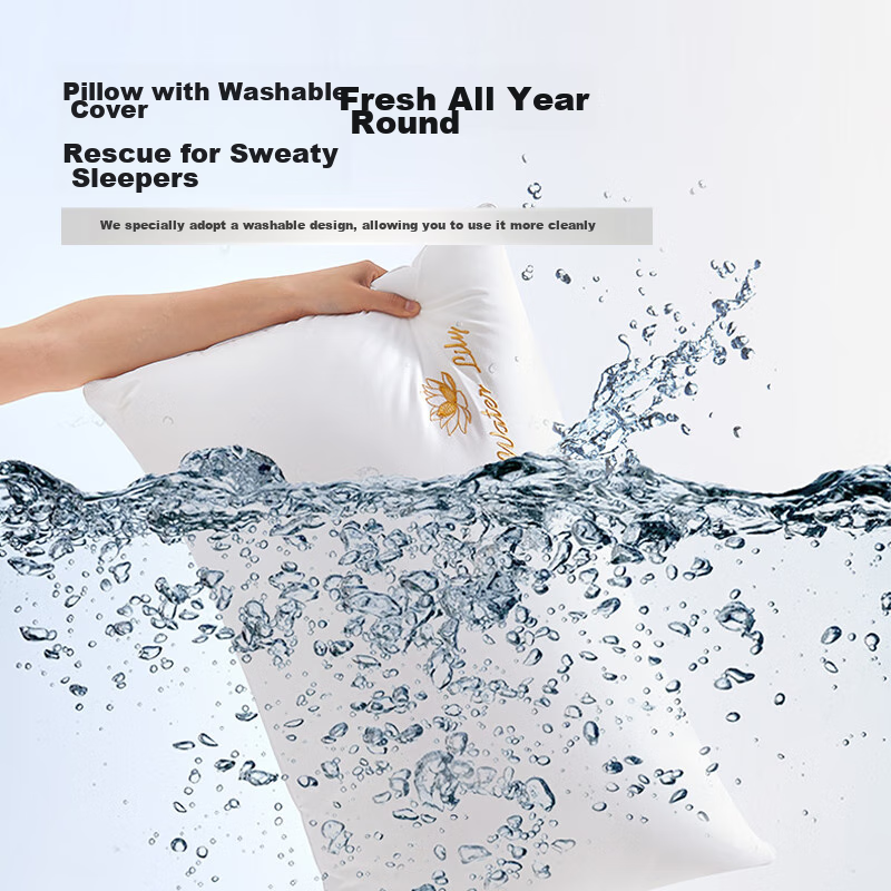 Boyang Home Textile Pillow Core, Washable, 100% Cotton, Embroidered Soft Pillow...