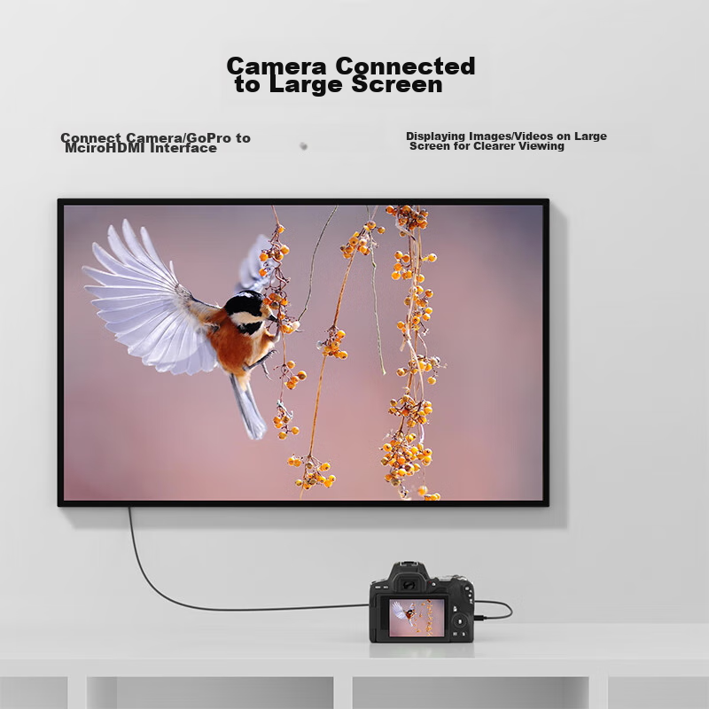 Biaze Micro HDMI to HDMI Adapter Cable, 3 Meters, 4K High-Definition Conversion...