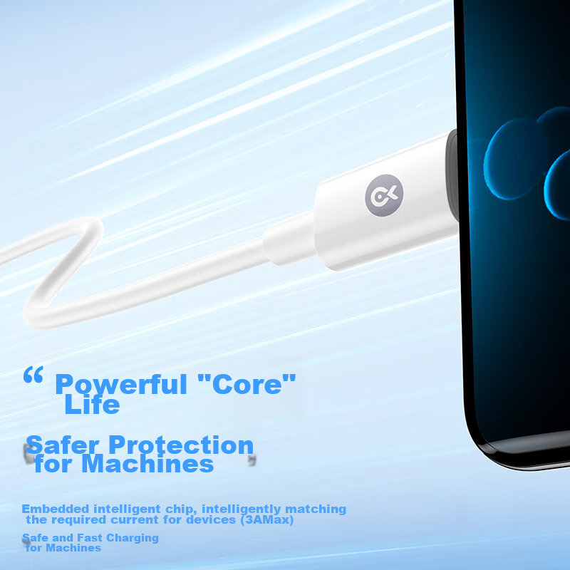 Biaze PD60W Fast Charging Cable, Ctoc Dual-Head Type-C 3A Charging Cable, Compat...