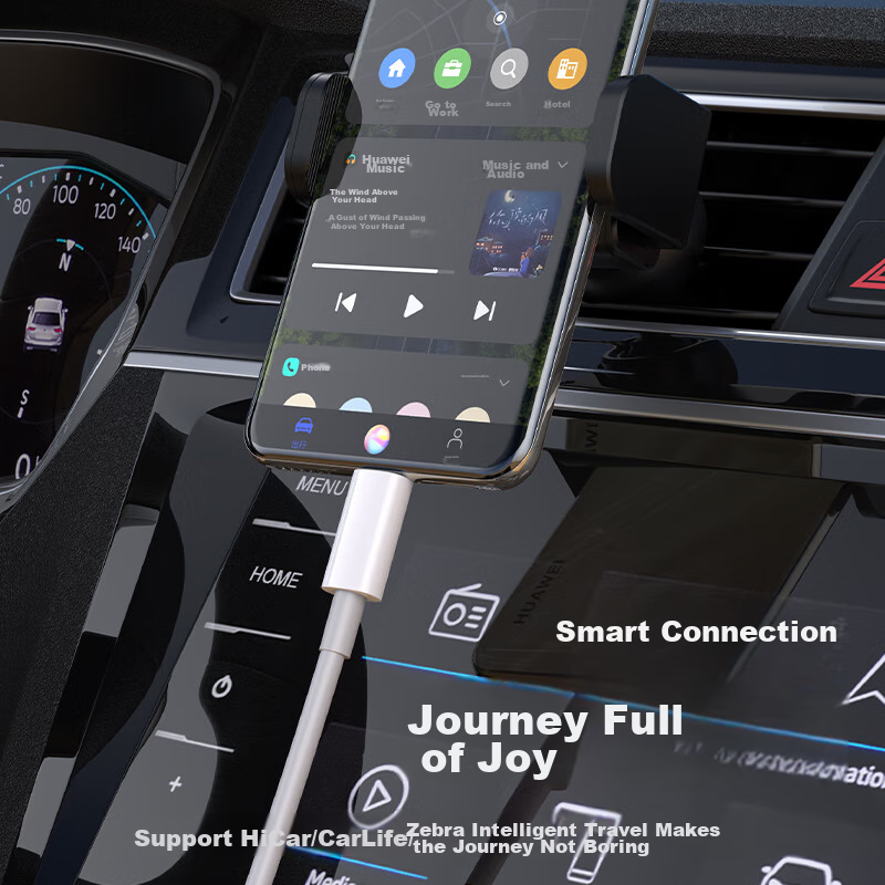 Biaze PD60W Fast Charging Cable, Ctoc Dual-Head Type-C 3A Charging Cable, Compat...