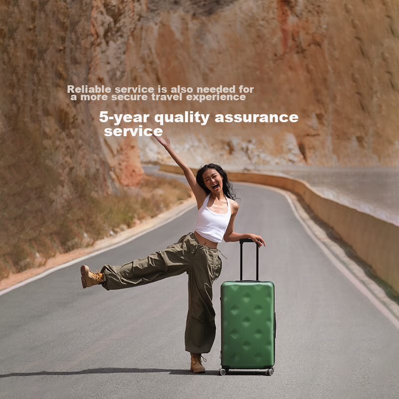 Bulaimei Luggage, Women's Trolley Suitcase, Large Capacity Travel Case, Password...