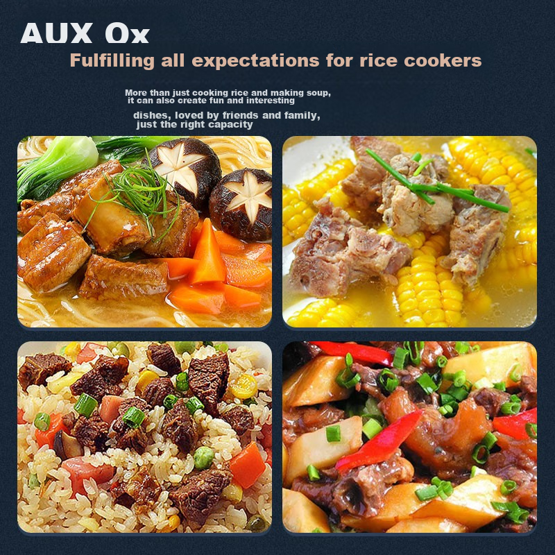 AUX Rice Cooker, Micro-Pressure Electric Rice Cooker, Traditional Straight-Body...