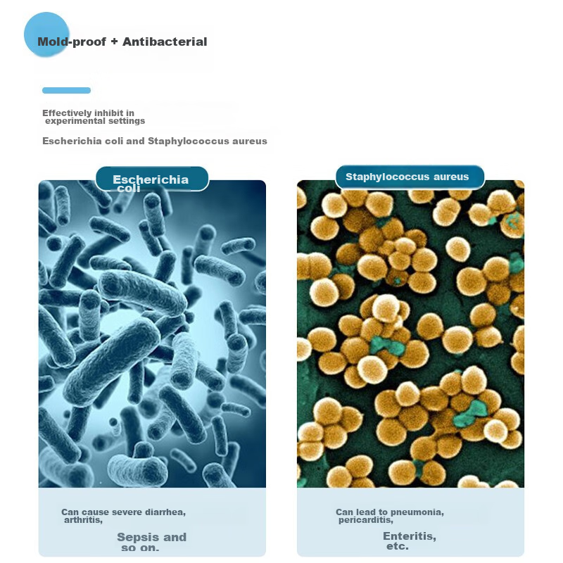 Camellia Antibacterial Vegetable Washing Basin, Fruit Washing Basin, Kitchen Pre...