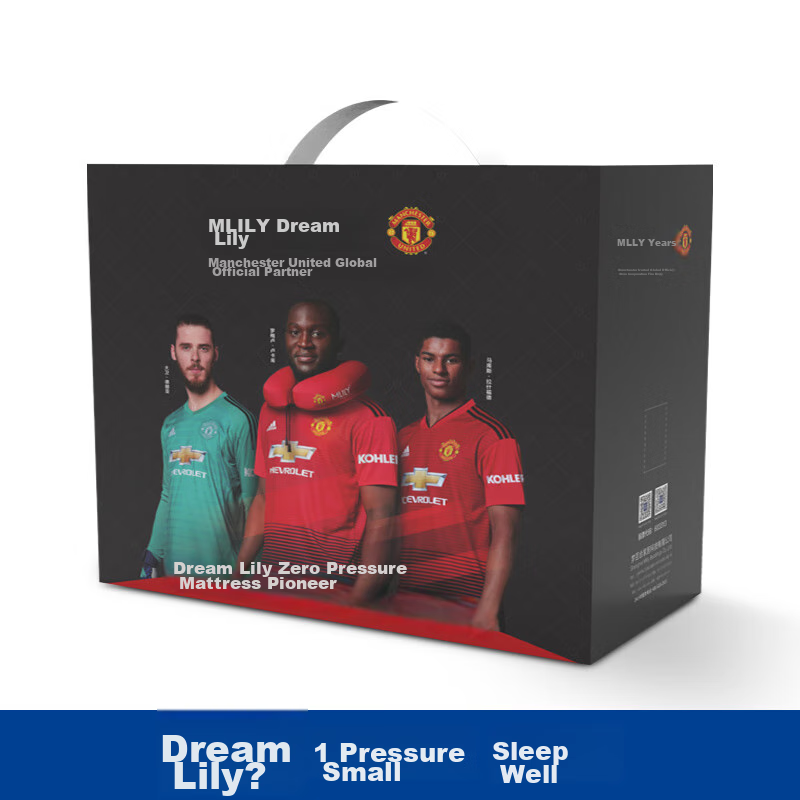 MLILY Slow Rebound Fresh Gel Memory Foam Single Cervical Pillow, Hotel Fresh Bre...