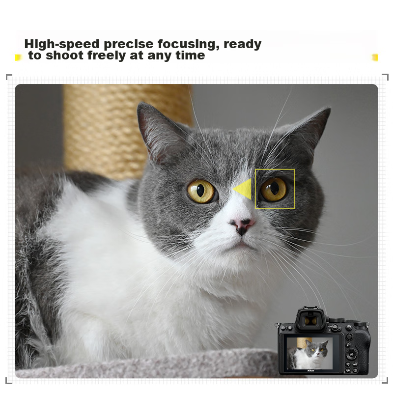 Nikon Z5 Full-Frame Mirrorless Camera, Mirrorless Kit (Z 24-50mm F/4-6.3 Mirrorl...