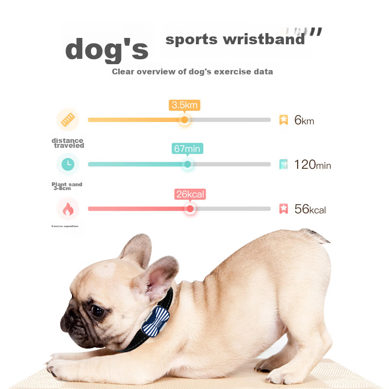 Peibei Pet Dog Cat Locator Anti-Lost Tracker, Wireless GPS Positioning Collar, A...