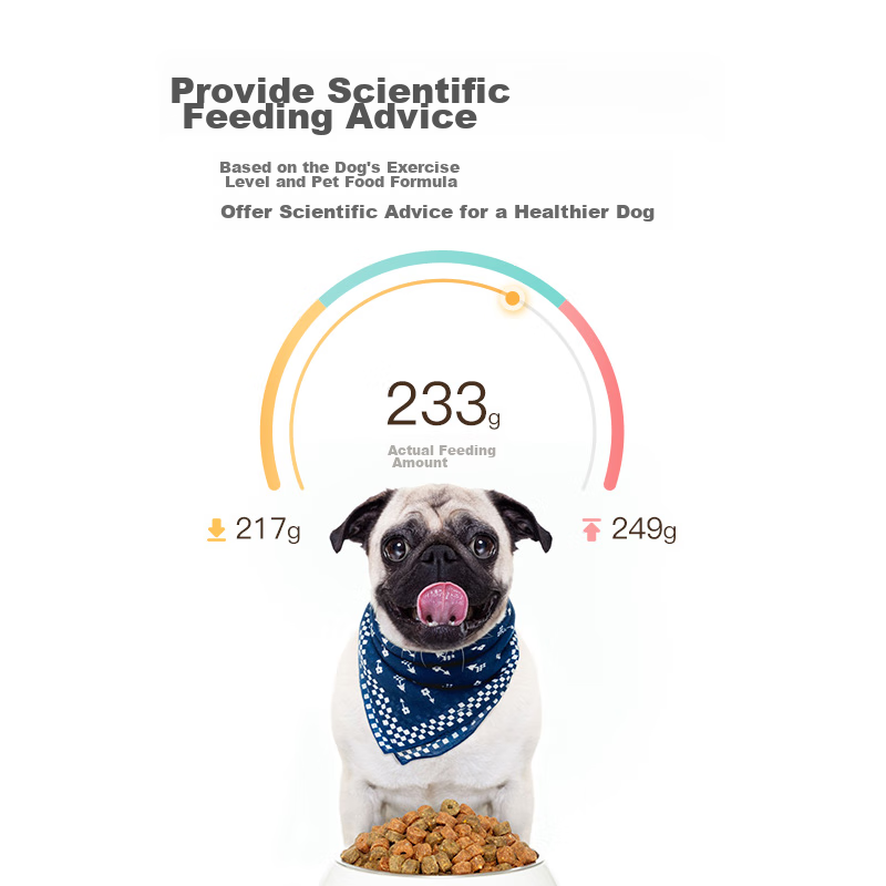 Peibei Pet Dog Cat Locator Anti-Lost Tracker, Wireless GPS Positioning Collar, A...