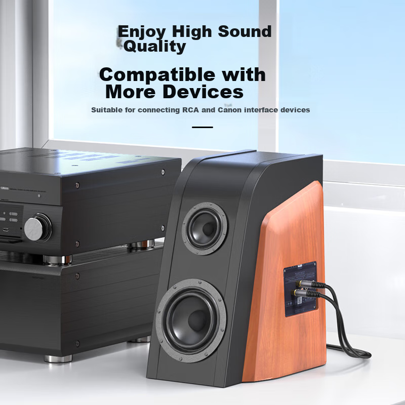 Akihabara Dual RCA to XLR Audio Cable, 2RCA Male to 2 XLR Female, Microphone Mix...