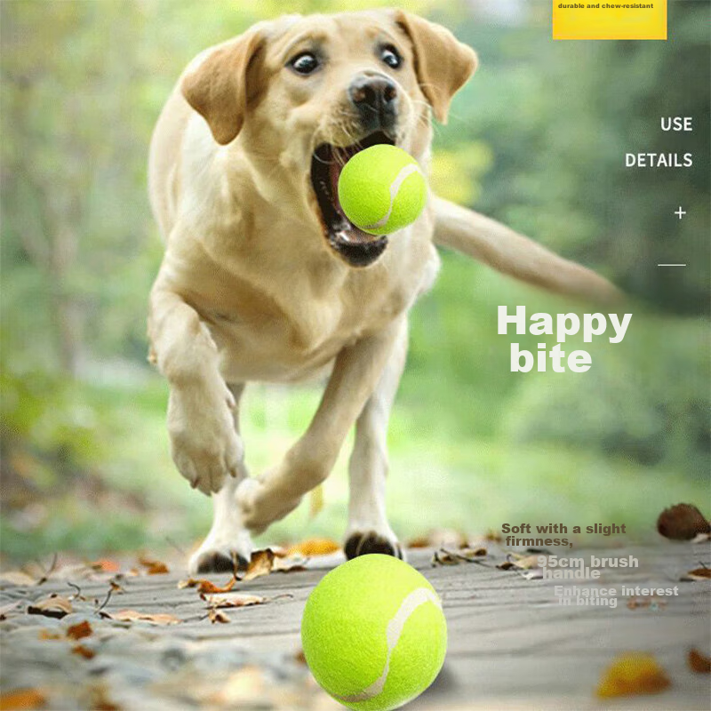 Youfanmeng Dog Toy Balls, Durable Outdoor Balls for Small, Medium And Large Dogs...