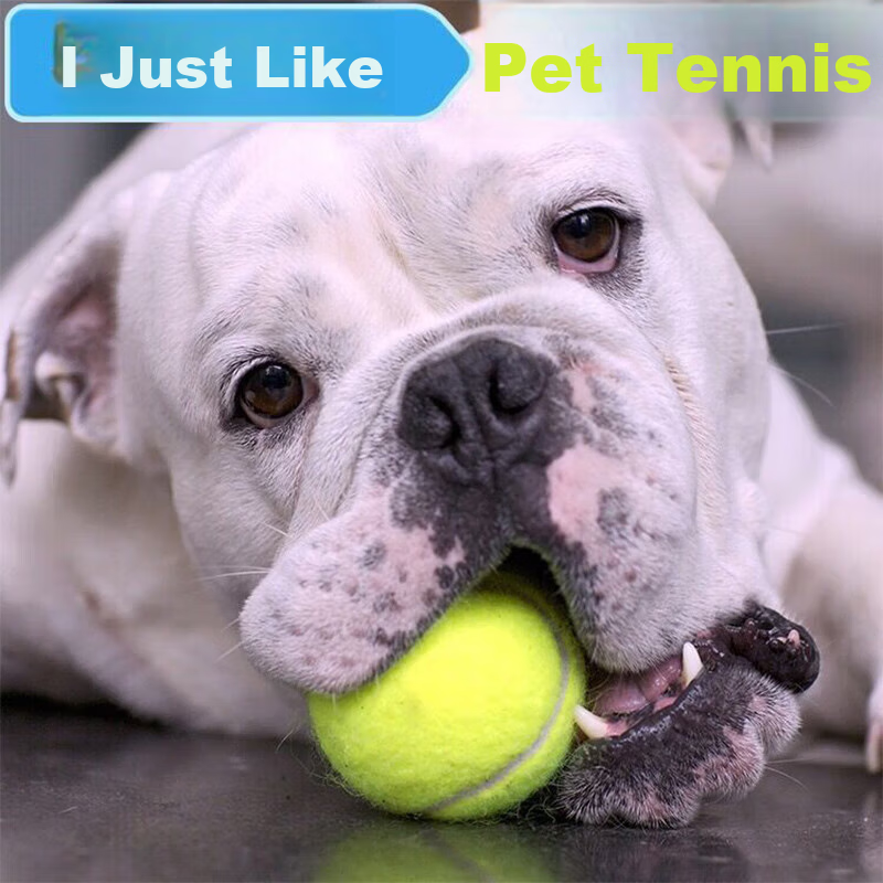 Youfanmeng Dog Toy Balls, Durable Outdoor Balls for Small, Medium And Large Dogs...