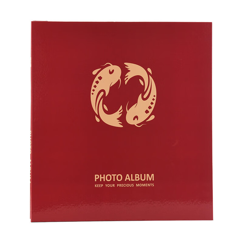 NCL Pocket Photo Album, 300 Pages, 6 Inches, Large Capacity Photo Collection, In...