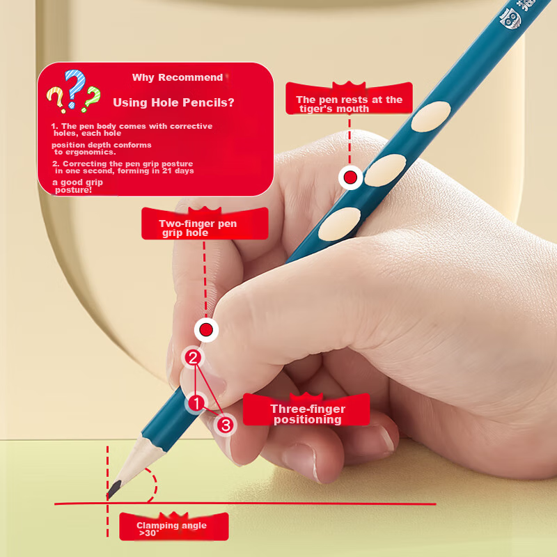 Maotaizi HB Perforated Pencil, Elementary School Student Handwriting Practice Pe...