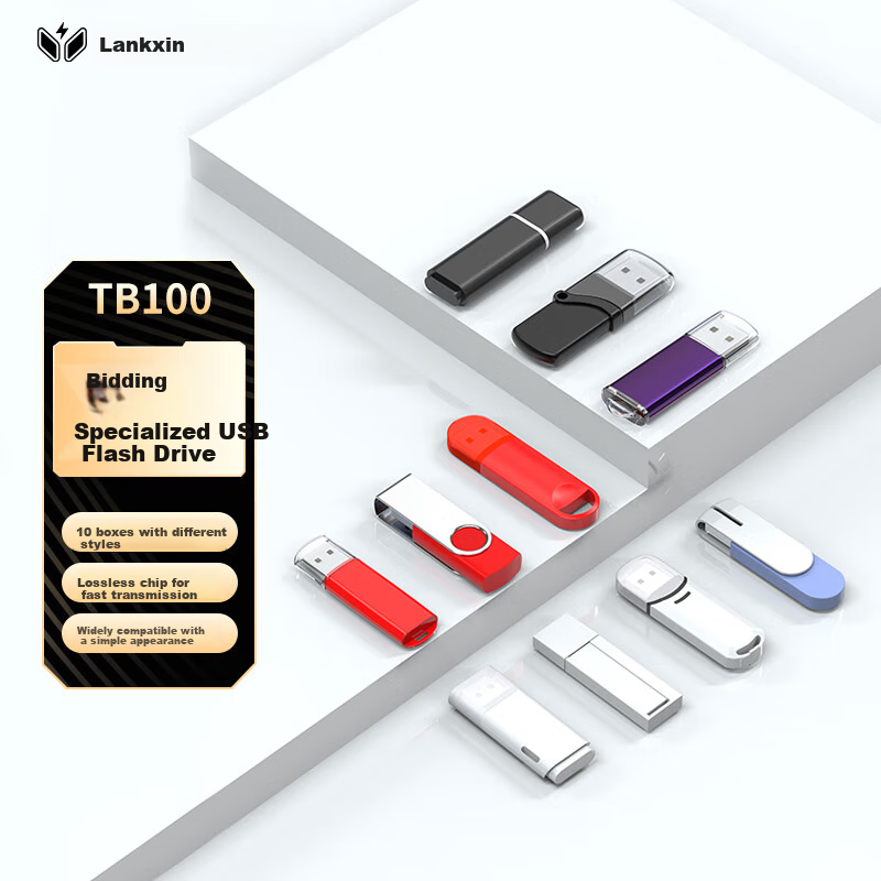 LanKxin 256MB USB2.0 Flash Drive TB100 Professional Bid USB Drive for Company An...