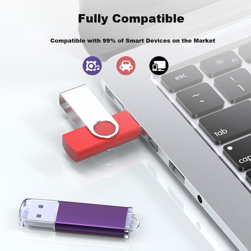LanKxin 256MB USB2.0 Flash Drive TB100 Professional Bid USB Drive for Company An...