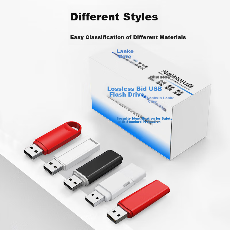 LanKxin 256MB USB2.0 Flash Drive TB100 Professional Bid USB Drive for Company An...