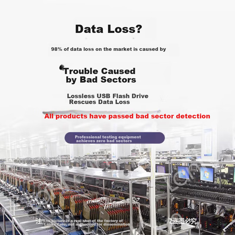 LanKxin 256MB USB2.0 Flash Drive TB100 Professional Bid USB Drive for Company An...