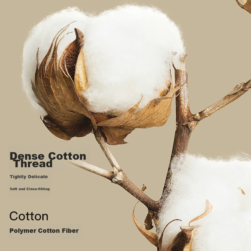 Langsha Men's Autumn Long Johns, Single Piece, Pure Cotton, Thin, Wool, Antibact...