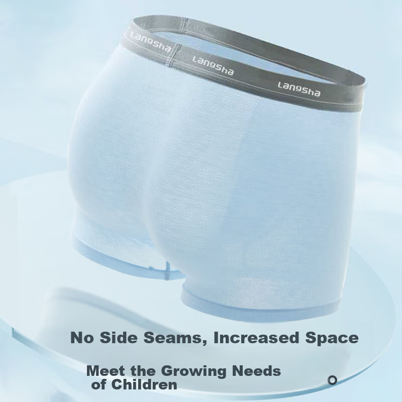 Langsha Youth Underwear for Boys, Puberty Summer Ice Silk Antibacterial Breathab...