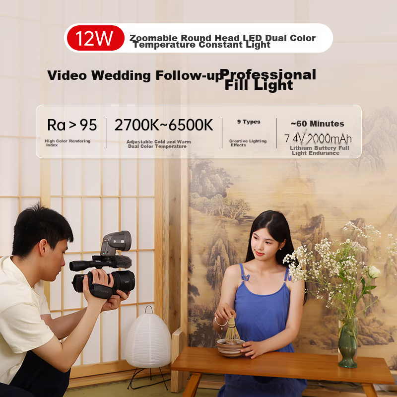 JINBEI H1 Round Head LED Video Light, Fill Light, All-In Portable, for Outdoor S...