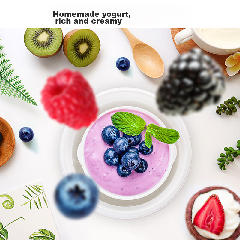 Joyoung Home Automatic Small Yogurt Maker with Precise Temperature Control, Cons...