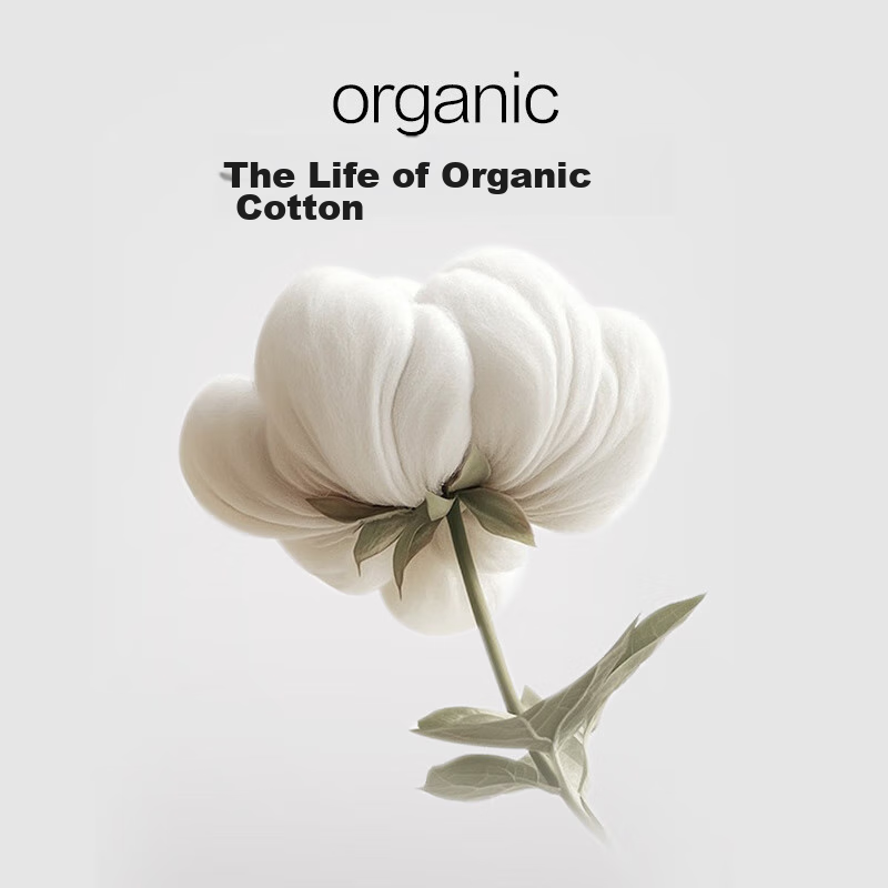 Jingzao Vita Cotton Bed Sheet, 100% Pure Cotton Class A Antibacterial All-Cotton...