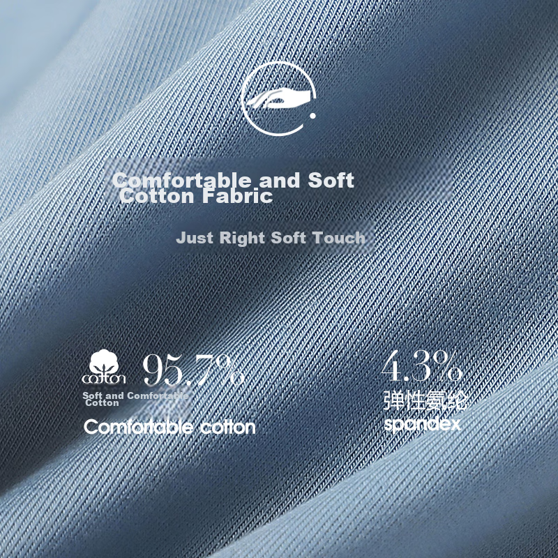 Langsha Men's Underwear, Cotton, 3A Antibacterial, Mid-Rise, High-Elasticity, Br...