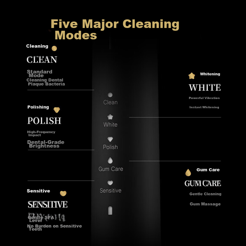 Lion Magnetic Levitation Sonic Electric Toothbrush, Gift for New Year, Smart Son...