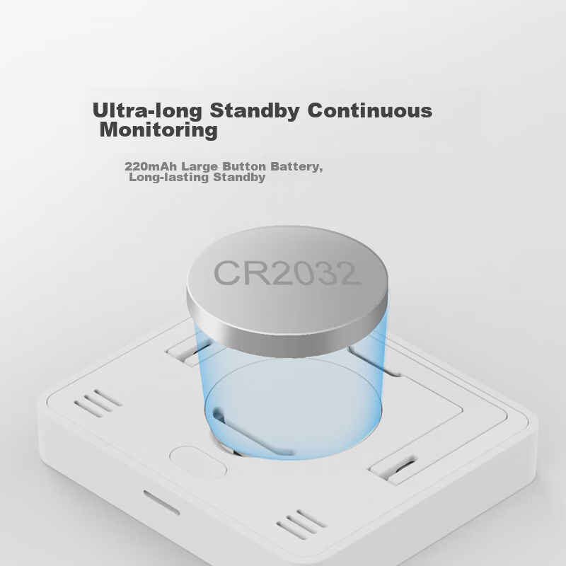 Jingzao Thermometer and Hygrometer for Baby Room, Indoor, Office, Car, High Prec...