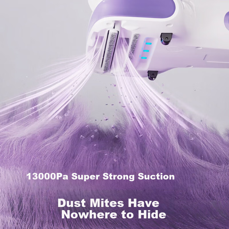 Jingzao Little Seal Lite Mite Remover Vacuum Cleaner All-In Machine with Dual Cu...