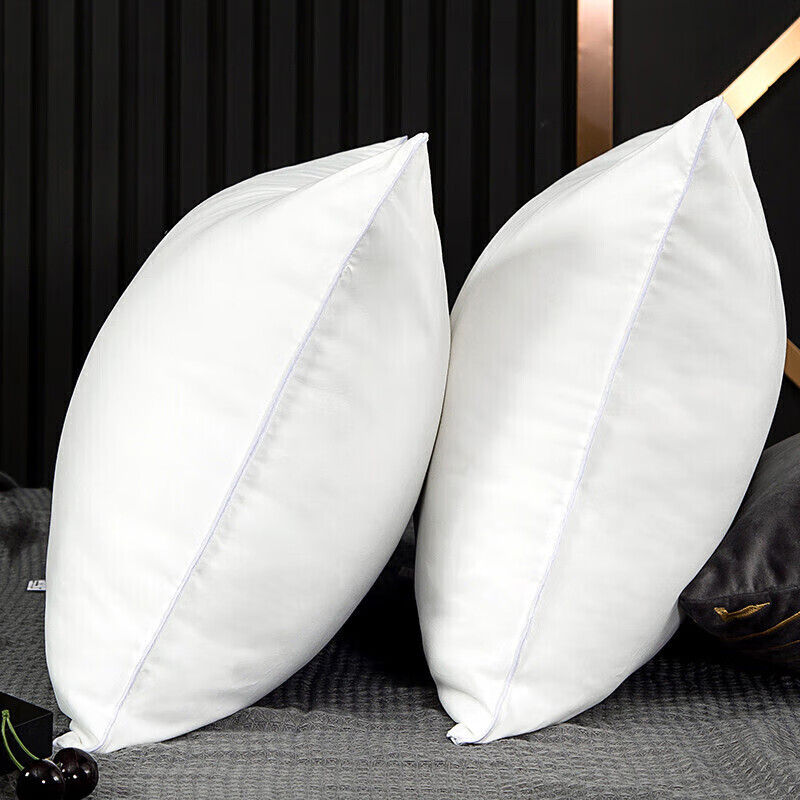 Jieliya Pillow Core Set of Two, Star-Rated Hotel Adult Pillow Core, High-Elastic...