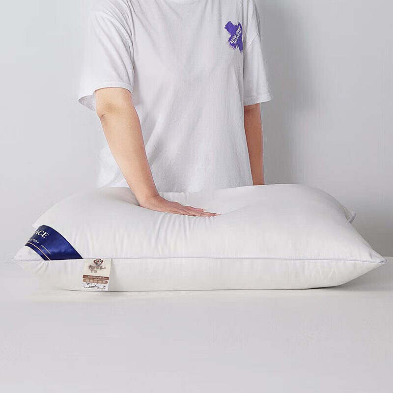 Jieliya Pillow Core Set of Two, Star-Rated Hotel Adult Pillow Core, High-Elastic...