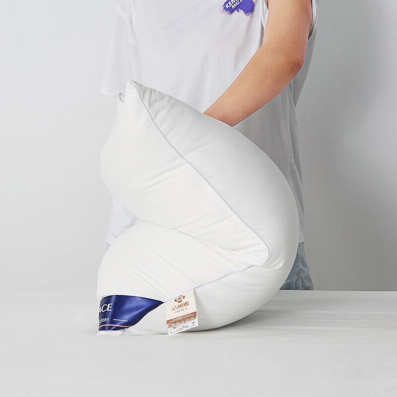 Jieliya Pillow Core Set of Two, Star-Rated Hotel Adult Pillow Core, High-Elastic...