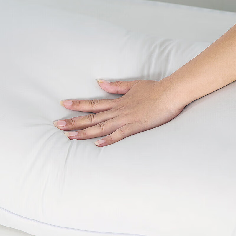 Jieliya Pillow Core Set of Two, Star-Rated Hotel Adult Pillow Core, High-Elastic...