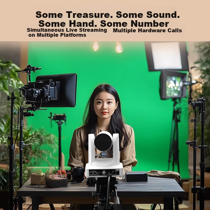 TCHD Video Tianchuanghengda HD S-Port Video Capture Card, HDMI Capture Card, Swi...