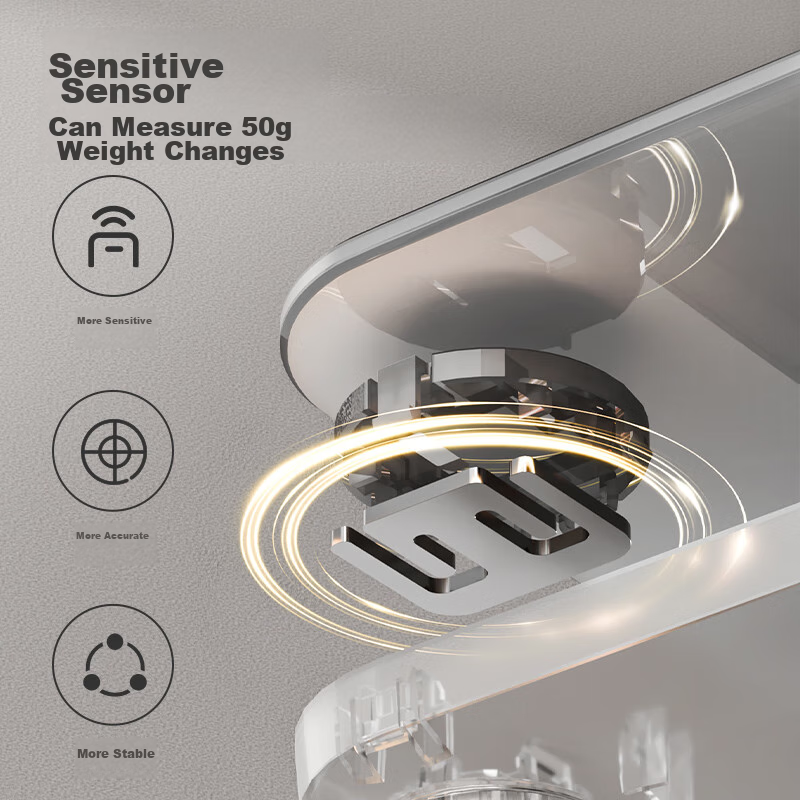 Jingzao Large Screen Four-Electrode Smart Body Fat Scale, Electronic Weight Loss...