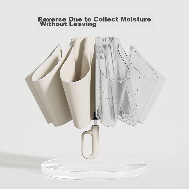 ZUODU Fully Automatic Umbrella, Three-Fold Large Size, Reinforced And Thickened,...