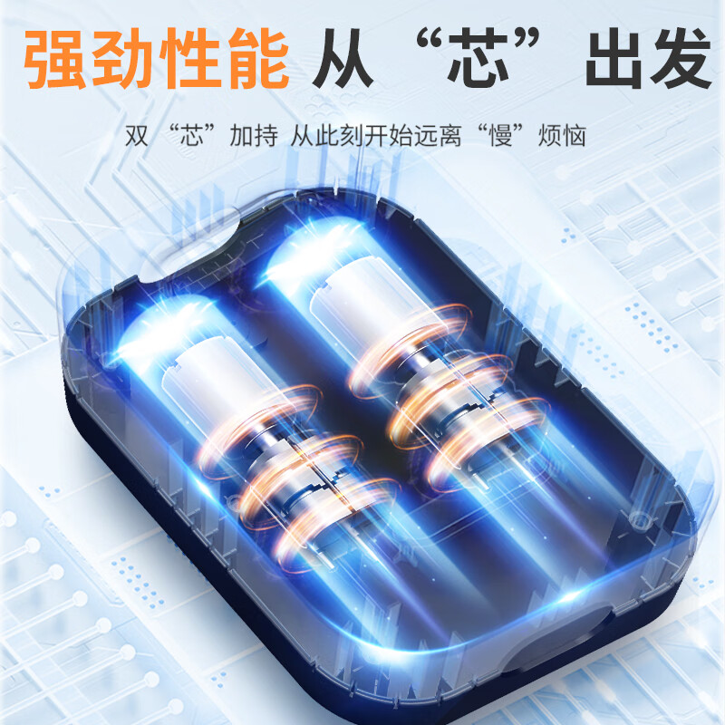 Maidesiite Anti-Bedsore Air Mattress, Medical Bed for Bedridden Elderly, Home Us...