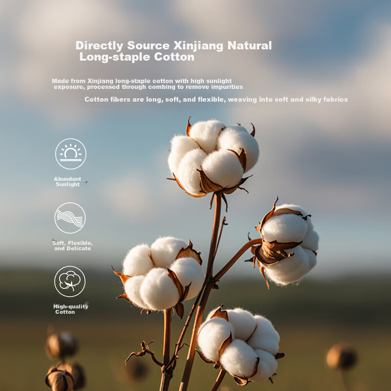 Ziiu Zhangyu A-Class Long-staple Cotton Four-piece Set 100S Full Cotton Tribute...