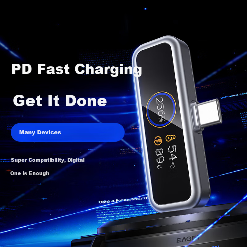 EAGET I30pro 256GB USB3.0 Type-C, Apple Android Phone USB Drive, PD Power Supply...