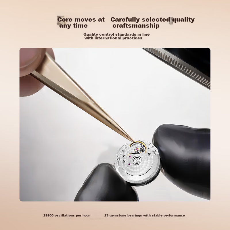 Seagull Ladies' Automatic Mechanical Watch, Small Delicate Ladies' Watch, Qixi G...