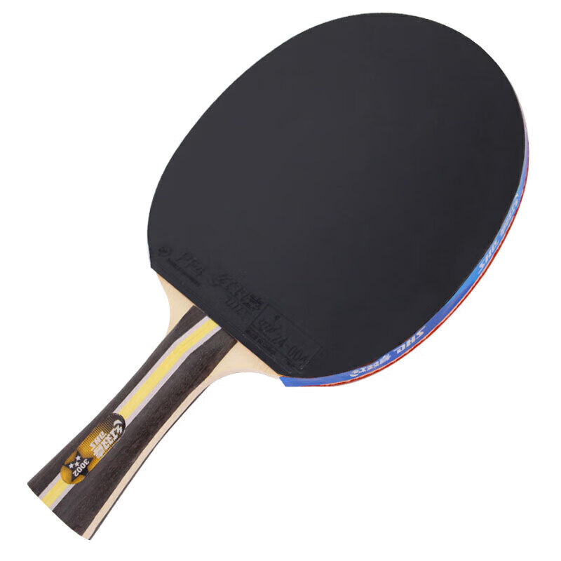DHS 3-Star Penhold Double-Sided Anti-Grip Table Tennis Racket H3002 with 6 Balls