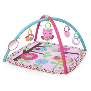 Bright Starts Charming Chirps Activity Gym, Pink
