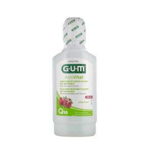 Gum Activital Mouthrinse Q10 6061 300Ml