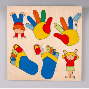 Educo ilay Board Finger & Toe