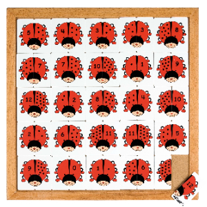 Educo Beetle Counting Puzzle