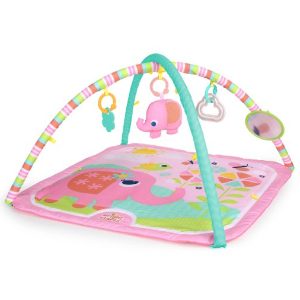 Bright Starts Fanciful Flowers Activity Gym, Pink