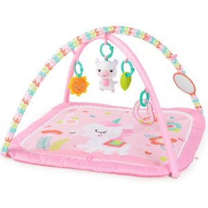 Bright Starts Daydream Blooms Activity Gym, Pink