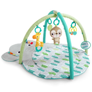 Bright Starts Hug n Cuddle Activity Gym, Grey