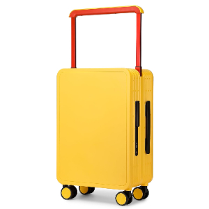 Papelan Hardside Luggage with Double Spinner Wheels, Carry-On 20-Inch, Quiet, TS